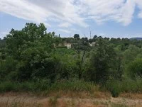 Terrain &agrave; b&acirc;tir - Grasse (6) - Mas Provence