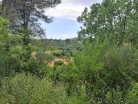 Terrain &agrave; b&acirc;tir - Grasse (6) - Mas Provence