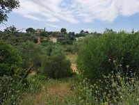 Terrain &agrave; b&acirc;tir - Grasse (6) - Mas Provence