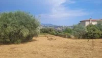Terrain &agrave; b&acirc;tir - Saint-Laurent-du-Var (6) - Groupe Mas Provence