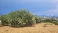 Terrain &agrave; b&acirc;tir - Saint-Laurent-du-Var (6) - Groupe Mas Provence
