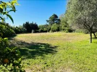 Terrain &agrave; b&acirc;tir - Mougins (6) - Mas Provence