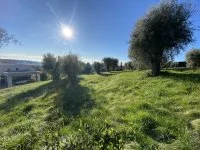 Terrain &agrave; b&acirc;tir - Vence (6) - Mas Provence