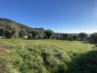 Terrain &agrave; b&acirc;tir - Vence (6) - Mas Provence