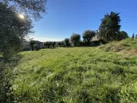 Terrain &agrave; b&acirc;tir - Vence (6) - Mas Provence