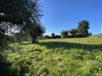 Terrain &agrave; b&acirc;tir - Vence (6) - Mas Provence