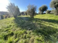Terrain &agrave; b&acirc;tir - Vence (6) - Mas Provence