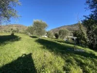 Terrain &agrave; b&acirc;tir - Vence (6) - Mas Provence