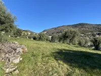 Terrain &agrave; b&acirc;tir - Vence (6) - Mas Provence