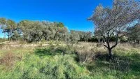 Terrain &agrave; b&acirc;tir - Bagnols-en-For&ecirc;t (83) - Mas Provence