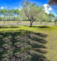Terrain &agrave; b&acirc;tir - Bagnols-en-For&ecirc;t (83) - Mas Provence