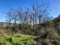 Terrain &agrave; b&acirc;tir - Draguignan (83) - Mas Provence