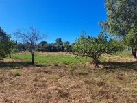 Terrain &agrave; b&acirc;tir - Fr&eacute;jus (83) - Mas Provence