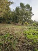 Terrain &agrave; b&acirc;tir - Bagnols-en-For&ecirc;t (83) - Mas Provence