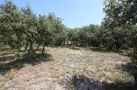 Terrain &agrave; b&acirc;tir - Cavaillon (84) - Mas Provence