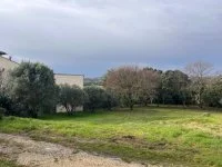 Terrain &agrave; b&acirc;tir - Uz&egrave;s (30) - Mas Provence