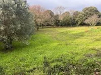 Terrain &agrave; b&acirc;tir - Uz&egrave;s (30) - Mas Provence