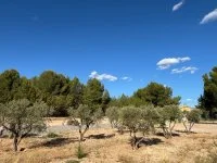 Terrain &agrave; b&acirc;tir - Aureille (13) - Mas Provence