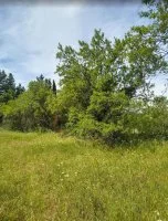 Terrain &agrave; b&acirc;tir - Carpentras (84) - Groupe Mas Provence