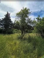 Terrain &agrave; b&acirc;tir - Carpentras (84) - Groupe Mas Provence