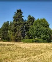 Terrain &agrave; b&acirc;tir - Caromb (84) - Mas Provence