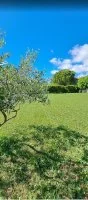 Terrain &agrave; b&acirc;tir - Pernes-les-Fontaines (84) - Mas Provence