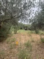 Terrain &agrave; b&acirc;tir - Valergues (34) - Groupe Mas Provence