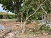 Projet de construction d'une maison avec terrain - Marsillargues (34) - Esprit Mas