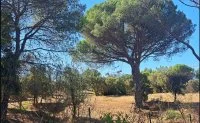 Terrain &agrave; b&acirc;tir - Fr&eacute;jus (83) - Mas Provence