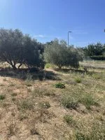 Terrain &agrave; b&acirc;tir - Istres (13) - Mas Provence