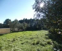 Terrain &agrave; b&acirc;tir - Uz&egrave;s (30) - Mas Provence