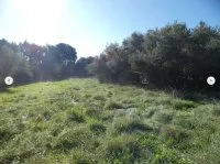 Terrain &agrave; b&acirc;tir - Uz&egrave;s (30) - Mas Provence