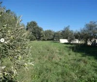 Terrain &agrave; b&acirc;tir - Uz&egrave;s (30) - Mas Provence