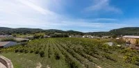 Terrain &agrave; b&acirc;tir - Gaujac (30) - Mas Provence