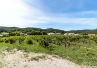 Terrain &agrave; b&acirc;tir - Gaujac (30) - Mas Provence