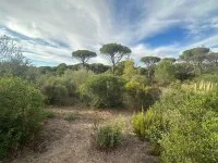 Projet de construction d'une maison avec terrain - Fr&eacute;jus (83) - Groupe Mas Provence