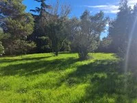 Terrain &agrave; b&acirc;tir - Saint-Laurent-des-Arbres (30) - Groupe Mas Provence