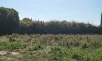 Terrain &agrave; b&acirc;tir - Althen-des-Paluds (84) - Groupe Mas Provence