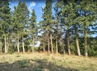 Terrain &agrave; b&acirc;tir - Aubignan (84) - Groupe Mas Provence
