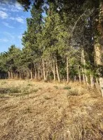 Terrain &agrave; b&acirc;tir - Aubignan (84) - Groupe Mas Provence