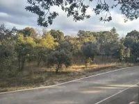 Terrain &agrave; b&acirc;tir - Saint-Restitut (26) - Mas Provence