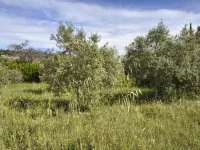 Terrain &agrave; b&acirc;tir - Mormoiron (84) - Groupe Mas Provence