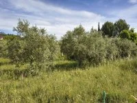Terrain &agrave; b&acirc;tir - Mormoiron (84) - Groupe Mas Provence