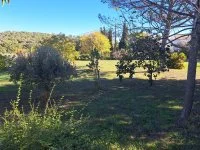 Terrain &agrave; b&acirc;tir - Lorgues (83) - Groupe Mas Provence