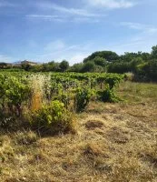Terrain &agrave; b&acirc;tir - Mazan (84) - Groupe Mas Provence