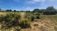 Terrain &agrave; b&acirc;tir - Mazan (84) - Groupe Mas Provence