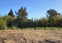 Terrain &agrave; b&acirc;tir - Monteux (84) - Groupe Mas Provence