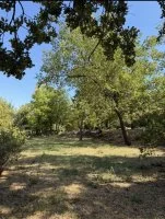 Terrain &agrave; b&acirc;tir - La Celle (83) - Mas Provence
