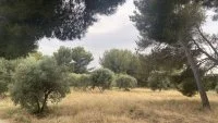 Projet de construction d'une maison avec terrain - Saint-Chamas (13) - Groupe Mas Provence