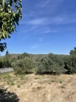 Projet de construction d'une maison avec terrain - Istres (13) - Groupe Mas Provence